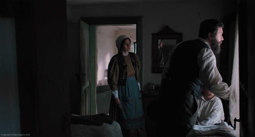 Filmele nominalizate la Premiile Gopo 2025 18945991