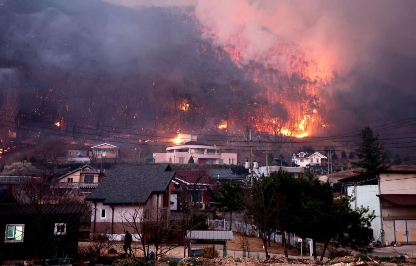 Bricheta care a schimbat istoria: Cel mai mare incendiu din Coreea de Sud a pornit dintr-un cimitir. 30 de oameni au murit