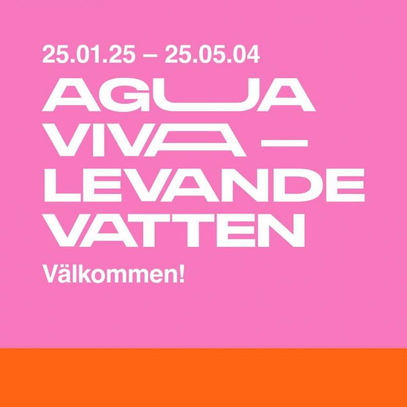 Artista vizuală Nicoleta Mureș, în expoziția „Agua viva‟ de  la Muzeul de Artă Anna Nordlander din Suedia 18947553