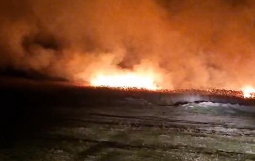 Un bărbat și peste 100 de feline au murit, după ce un sanctuar de pisici a luat foc