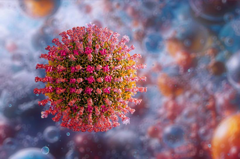 Rujeola poate devasta sistemul imunitar și creierul 18947913