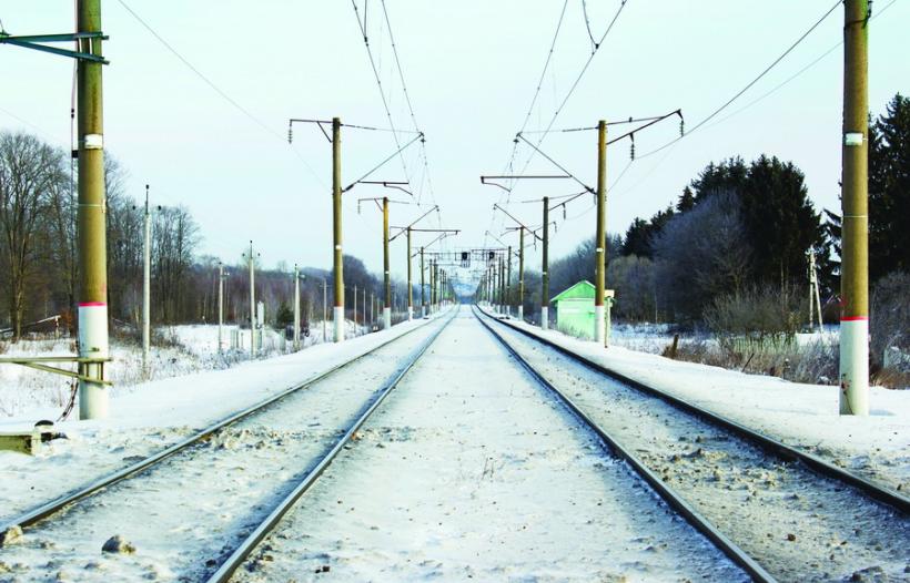 Circulație feroviară întreruptă temporar din cauza copacilor căzuți pe linii