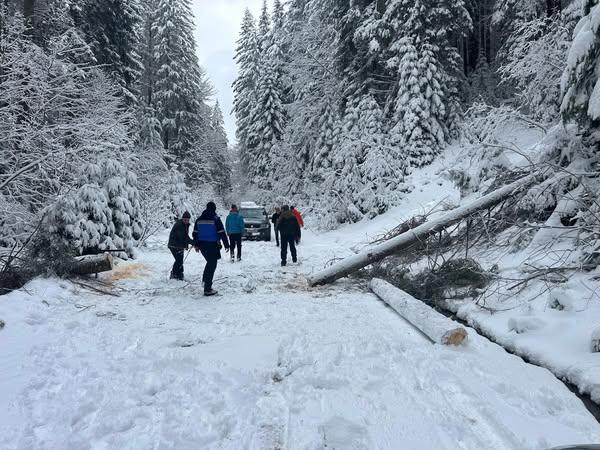 Turiști blocați pe traseul Bistra Mică, salvați de jandarmii montani 18948380