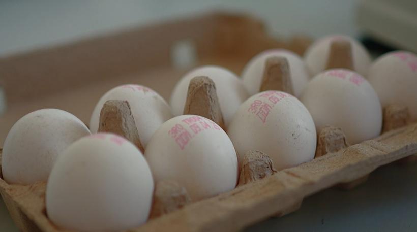 Un nou sezon al campaniei Observator, Ce ne puneți în mâncare debutează astăzi cu un subiect alarmant: riscul toxic din vopseaua pentru ouăle de Paşte 18948642