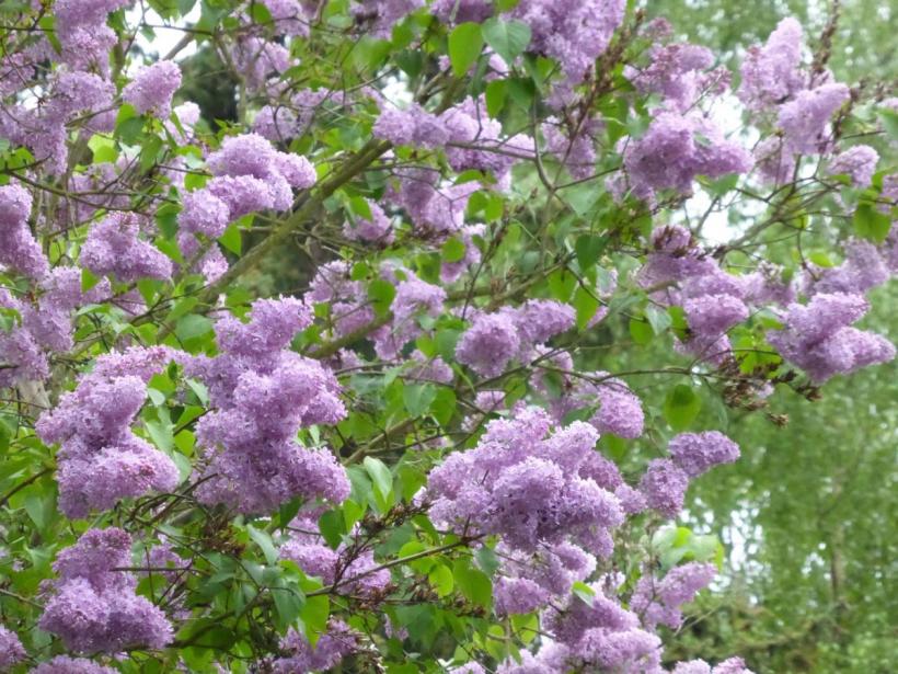 Se schimbă vremea - vine căldura!  18948589