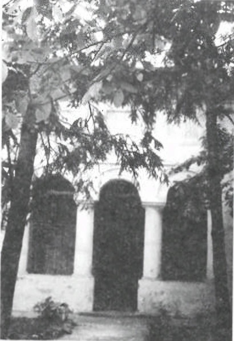 Artificiul care a dat în limba română diminutivul Colțea 18948872