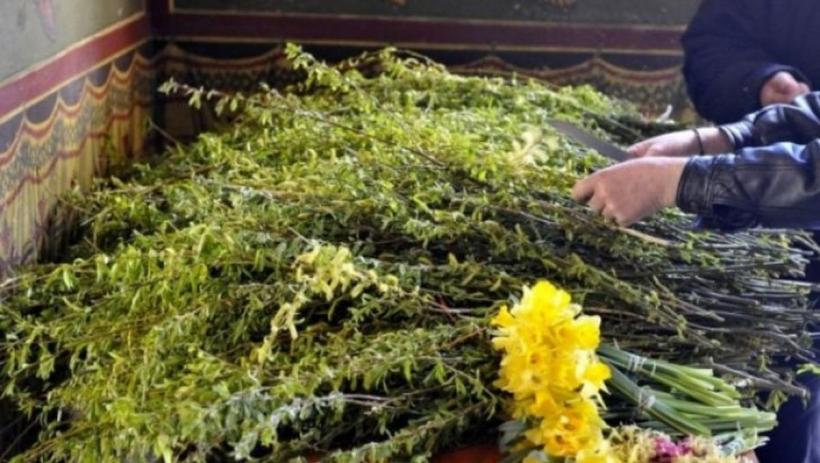 Sărbătoarea Floriilor 2025: Cele mai frumoase urări calde și amuzante pentru toate florile din viața ta