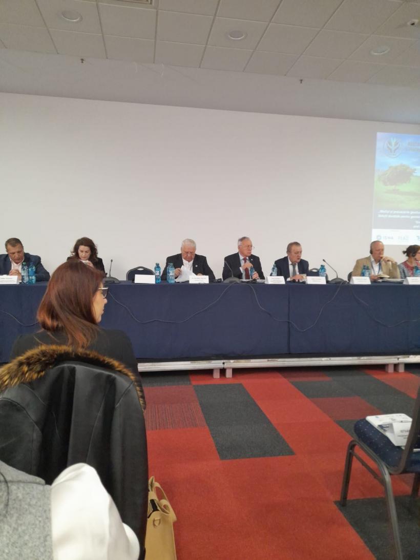 Invenție românească: turismul gunoaielor 18949433