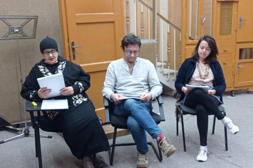 Premieră absolută la Teatrul Național Radiofonic: NINA – o biografie poetică 18949272