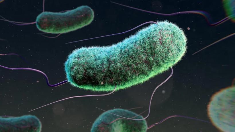 Peste 3 milioane de copii au murit, într-un singur an, din cauza infecțiilor rezistente la medicamente 18949585