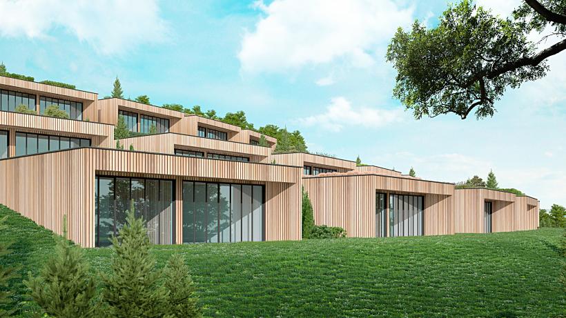 Minunea de la Vulturești 18949552