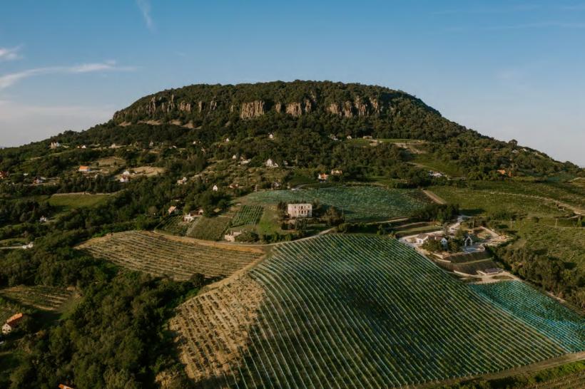 Ungaria vrea mai mulți români, în 2025 18950149