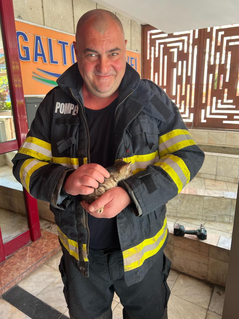 Misiune de Paște. Un pui de pisică a fost salvat dintr-un panou publicitar de pompierii gălățeni 18950369