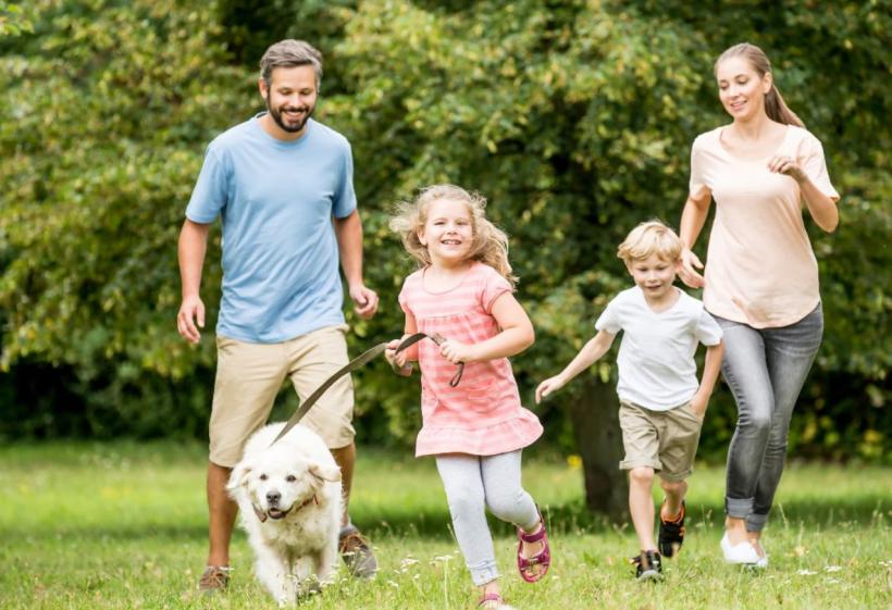 Câini, copii și paraziți – cum putem să trăim în armonie?