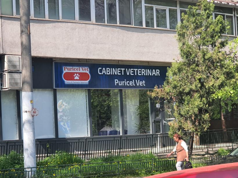 Doi morți și o căzătură. Când Nicu, primarul, seamănă cu „nea Nicu’” 18951043