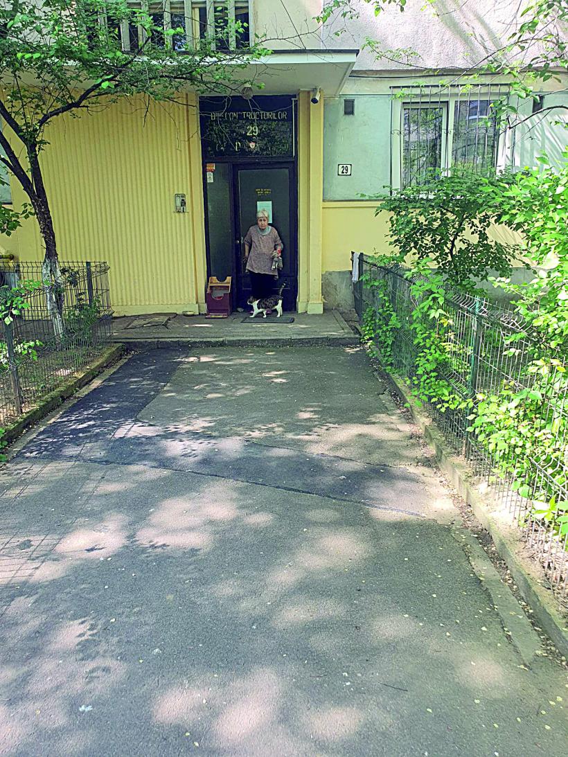 Doi morți și o căzătură. Când Nicu, primarul, seamănă cu „nea Nicu’” 18951052