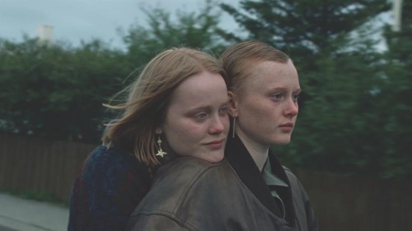 Cele mai premiate filme ale anului, în premieră la TIFF.24 18950645