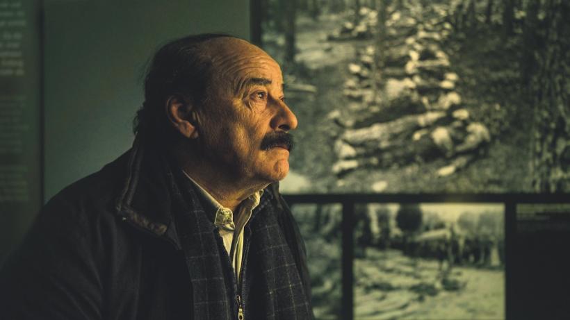 Cele mai premiate filme ale anului, în premieră la TIFF.24 18950650