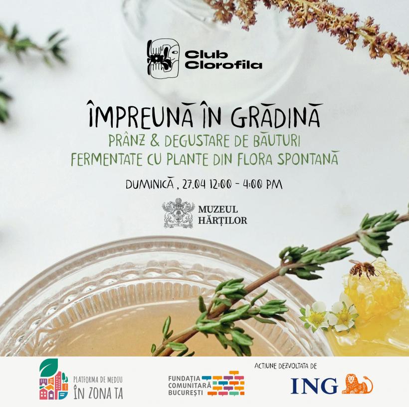 Grădina Muzeului Hărților:  Refugiu verde pentru oameni, albine și alți polenizatori 18950915