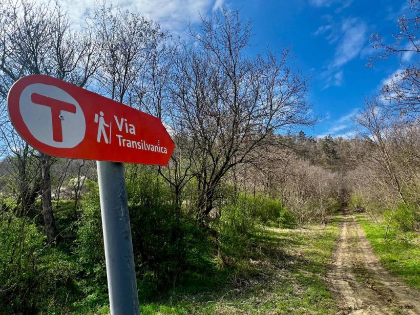 Satul „brânzeturilor dumnezeiești”: Un preot din județul Sibiu și-a făcut fermă cu brune maramureșene și altar de rugăciune 18950880