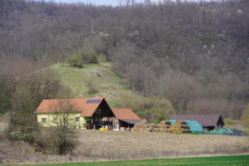 Satul „brânzeturilor dumnezeiești”: Un preot din județul Sibiu și-a făcut fermă cu brune maramureșene și altar de rugăciune 18950883