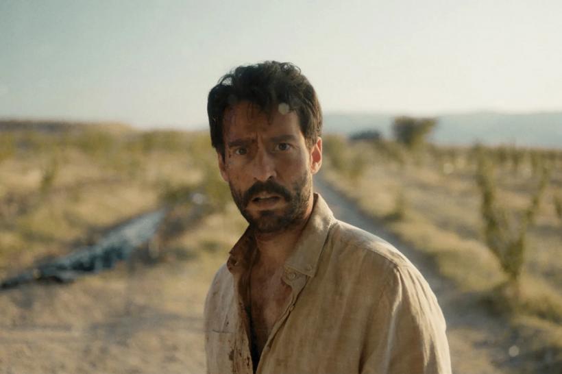 Cele mai premiate filme ale anului, în premieră la TIFF.24 18951405