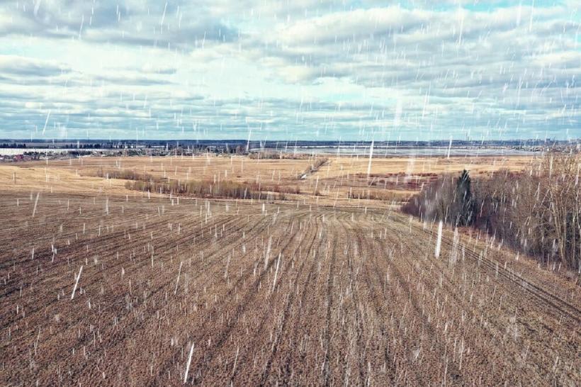 Ministrul Agriculturii: Nicio firmă privată nu va mai face intervenții active în atmosferă. Doar statul român se va ocupa de ploi artificiale și antigrindină 18951408