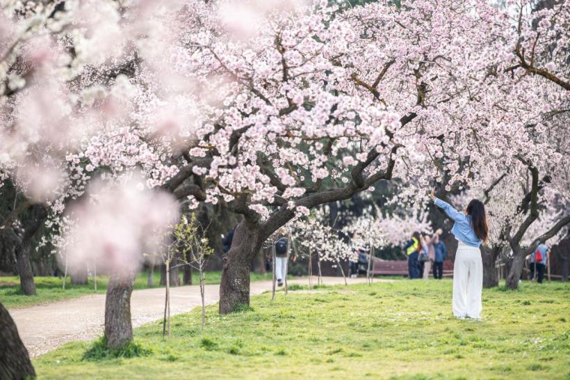 Temperaturi mai mari decât cele specifice perioadei, în următoarele două săptămâni