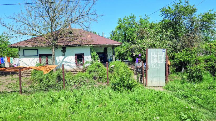 Vot cu sictiru’ în suflet! Alegerile pentru Cotroceni, văzute din Răsucenii păstoriți de Spălatu: „Cum e, bă, cu alea doișpe’ milioane de vă dă statu’ după o viață de muncă la Ceape?” 18951895