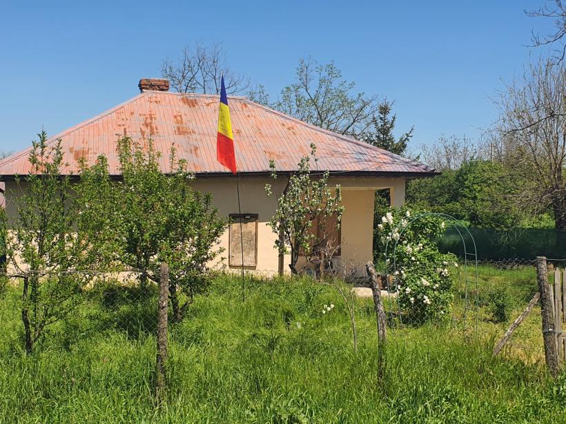 Vot cu sictiru’ în suflet! Alegerile pentru Cotroceni, văzute din Răsucenii păstoriți de Spălatu: „Cum e, bă, cu alea doișpe’ milioane de vă dă statu’ după o viață de muncă la Ceape?” 18951896