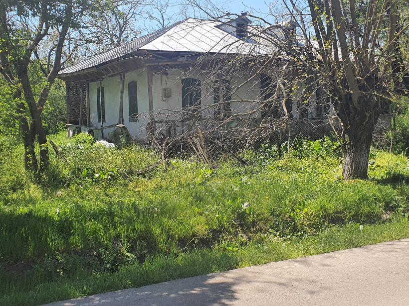 Vot cu sictiru’ în suflet! Alegerile pentru Cotroceni, văzute din Răsucenii păstoriți de Spălatu: „Cum e, bă, cu alea doișpe’ milioane de vă dă statu’ după o viață de muncă la Ceape?” 18951897