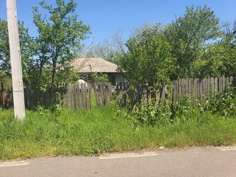 Vot cu sictiru’ în suflet! Alegerile pentru Cotroceni, văzute din Răsucenii păstoriți de Spălatu: „Cum e, bă, cu alea doișpe’ milioane de vă dă statu’ după o viață de muncă la Ceape?” 18951898