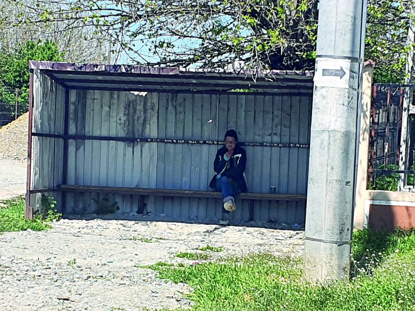 Vot cu sictiru’ în suflet! Alegerile pentru Cotroceni, văzute din Răsucenii păstoriți de Spălatu: „Cum e, bă, cu alea doișpe’ milioane de vă dă statu’ după o viață de muncă la Ceape?” 18951899