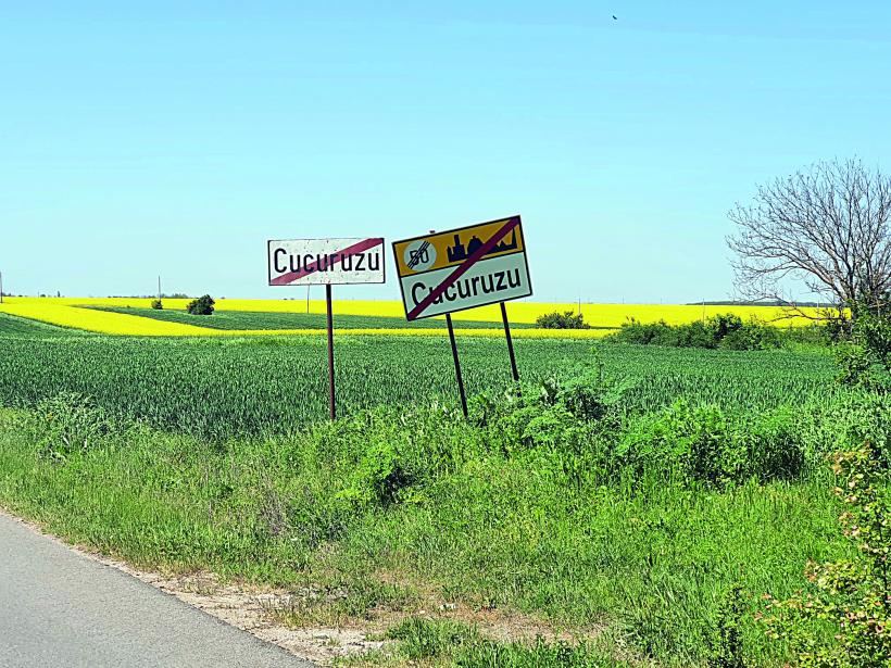 Vot cu sictiru’ în suflet! Alegerile pentru Cotroceni, văzute din Răsucenii păstoriți de Spălatu: „Cum e, bă, cu alea doișpe’ milioane de vă dă statu’ după o viață de muncă la Ceape?” 18951904