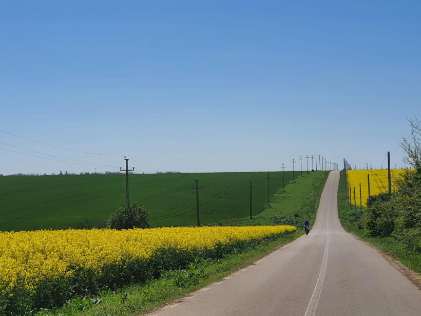 Vot cu sictiru’ în suflet! Alegerile pentru Cotroceni, văzute din Răsucenii păstoriți de Spălatu: „Cum e, bă, cu alea doișpe’ milioane de vă dă statu’ după o viață de muncă la Ceape?” 18951905