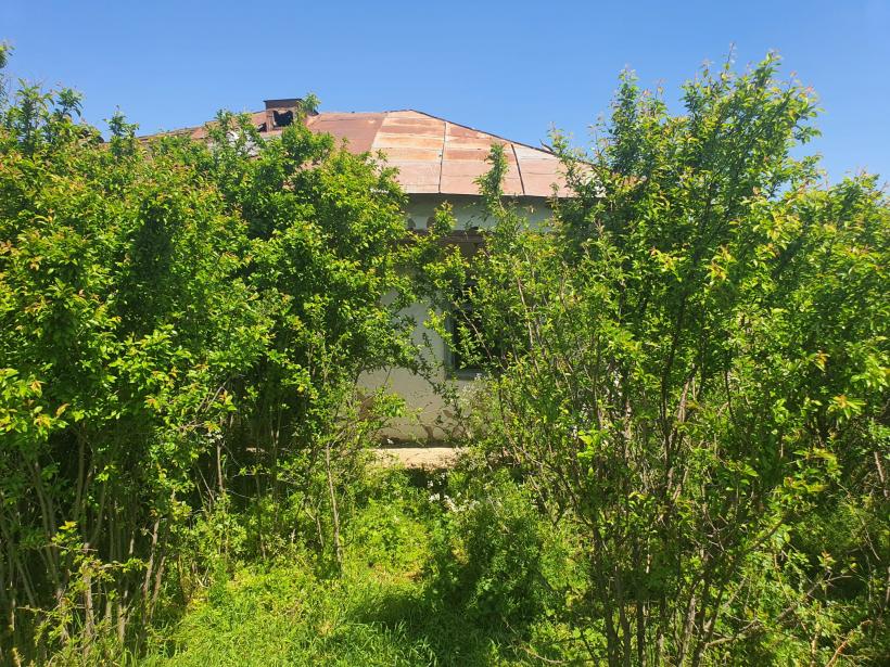 Vot cu sictiru’ în suflet! Alegerile pentru Cotroceni, văzute din Răsucenii păstoriți de Spălatu: „Cum e, bă, cu alea doișpe’ milioane de vă dă statu’ după o viață de muncă la Ceape?” 18951906