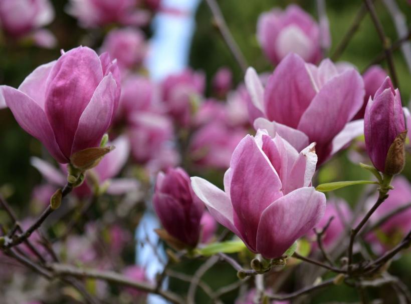 Urmează o săptămână călduroasă în estul și sudul țării 18952125