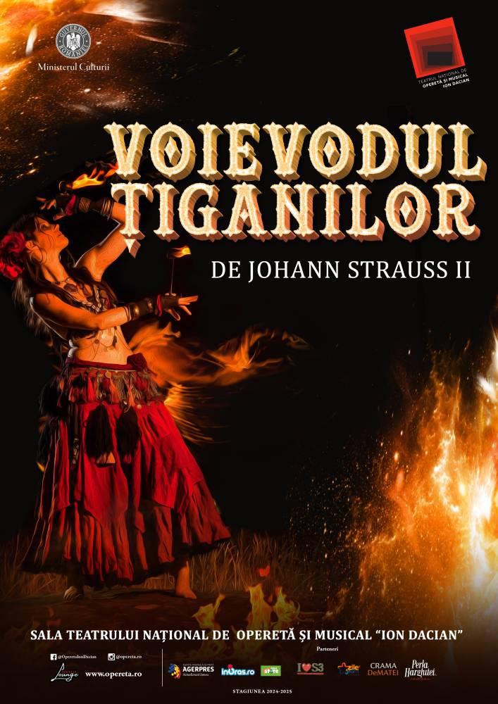Program Teatrul Naţional de Operetă şi Musical “Ion Dacian” - luna mai 2025 18952166