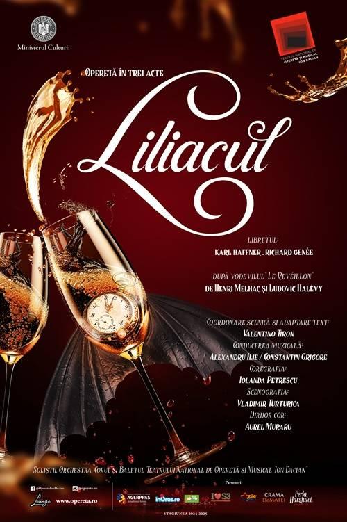 Program Teatrul Naţional de Operetă şi Musical “Ion Dacian” - luna mai 2025 18952168