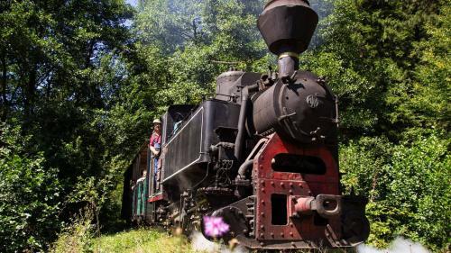 Mocănița de pe valea Bistriței, propusă pentru un circuit turistic prin Oltenia de sub munte