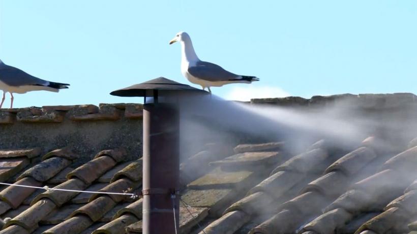 Fum alb la Vatican. Avem Papă