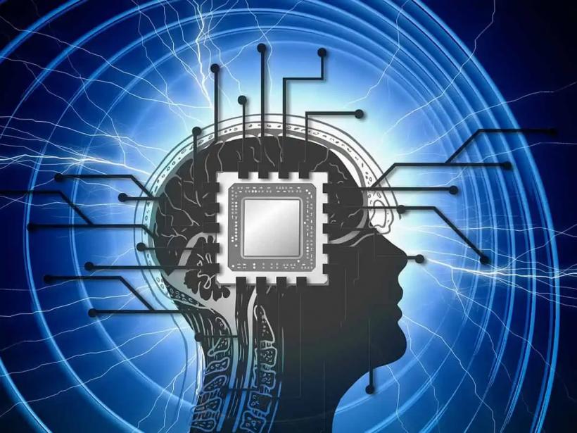 Omul folosește doar 10% din capacitatea creierului? 18952865