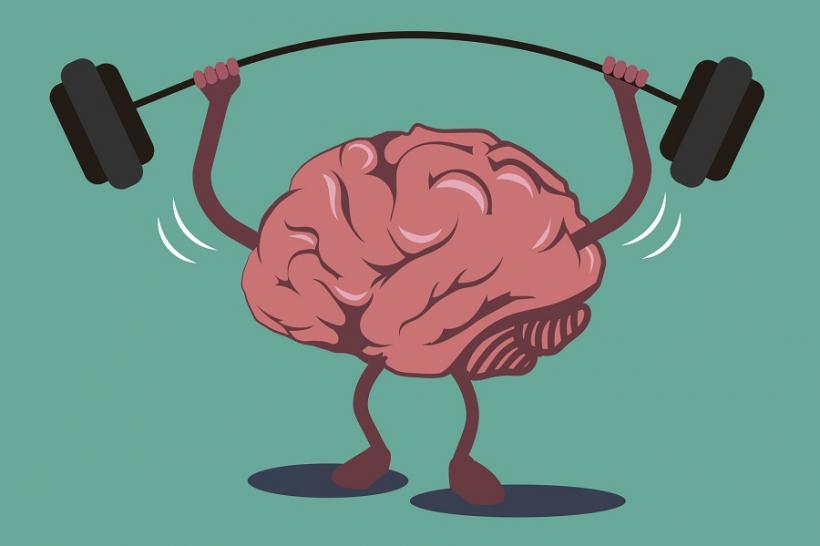 Omul folosește doar 10% din capacitatea creierului? 18952866