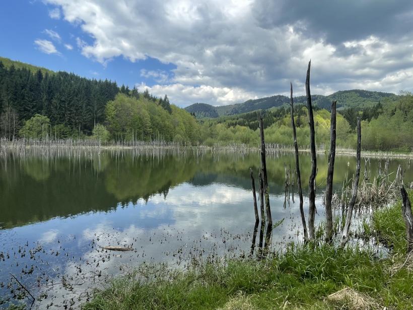 Tangaj Production începe filmările scurtmetrajului „Pânda”, regizat de Radu Muntean, parte din proiectul de digitalizare realizat cu sprijinul PNRR 18952985