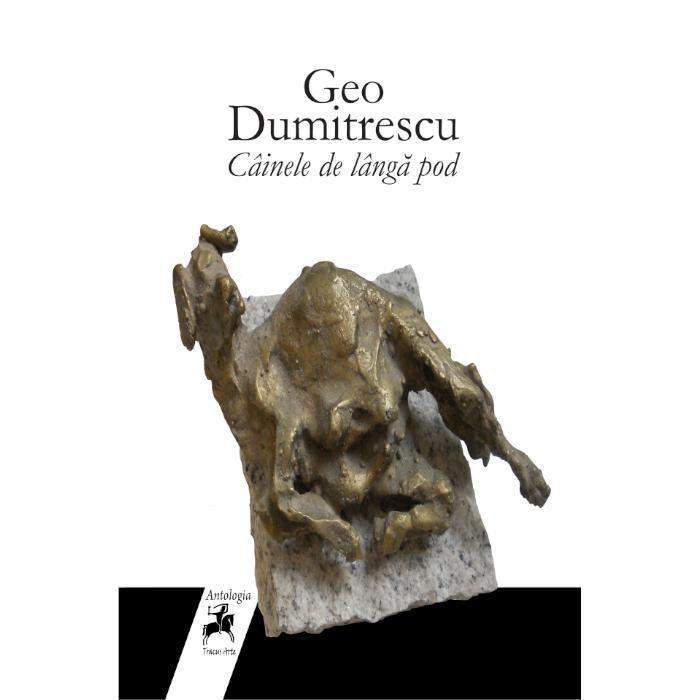 Geo Dumitrescu, un romantic camuflat în verb caustic 18953084