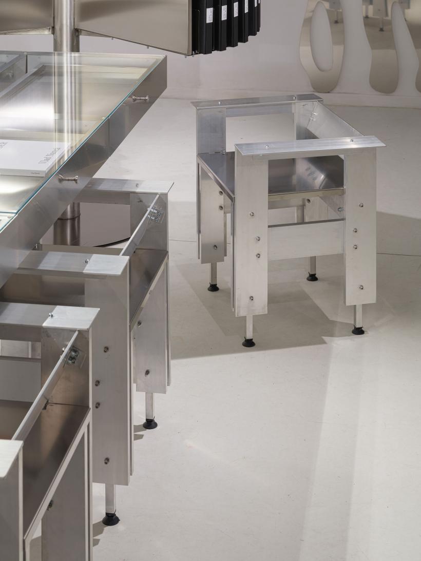 Human Scale, proiectul care reprezintă România la Bienala de Arhitectură de la Veneția, se deschide pentru vizitatori pe 10 mai 18952960