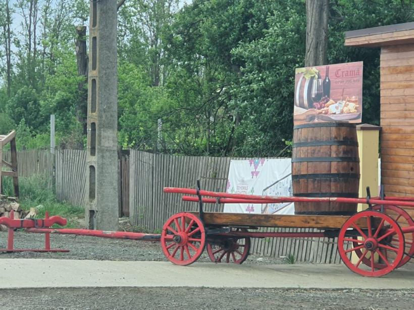 Țara de AUR. Cum arată electoratul lui Simion, văzut de aproape 18953472