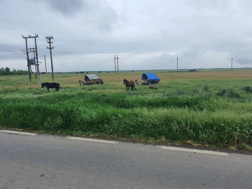 Țara de AUR. Cum arată electoratul lui Simion, văzut de aproape 18953490