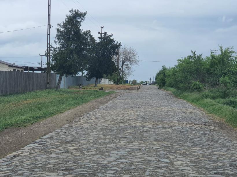 Țara de AUR. Cum arată electoratul lui Simion, văzut de aproape 18953498