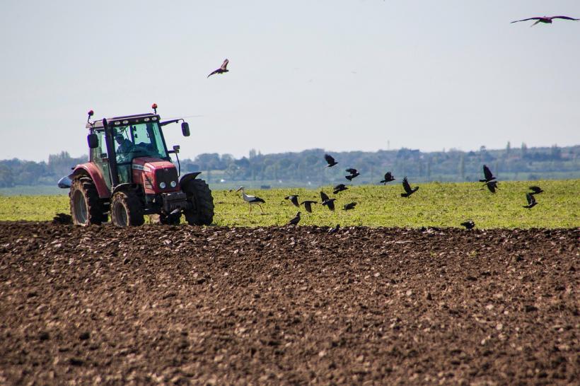 Performanța în agricultură: 44% dintre fermierii români au peste 65 de ani, 90% din ferme au sub 5 hectare